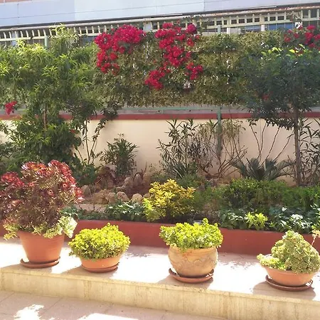 بيت للعطل Rosa *